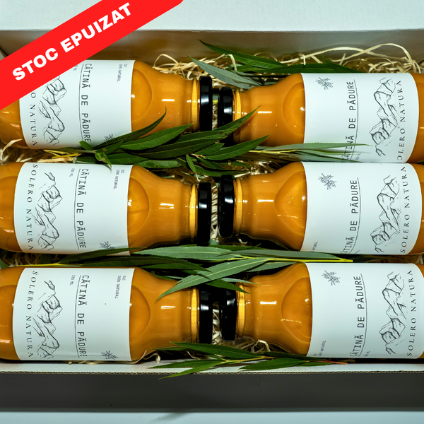 Suc Cătină De Pădure (18 buc)